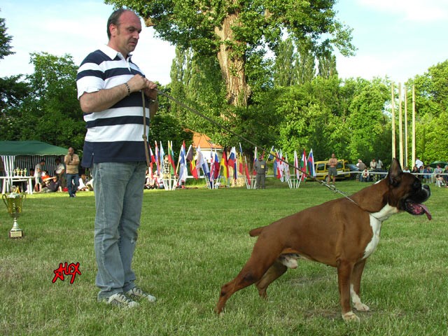 www.atibox.com