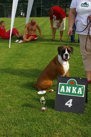 28. októbra 2007 23:47:25