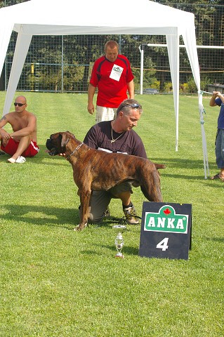 28. októbra 2007 23:47:21