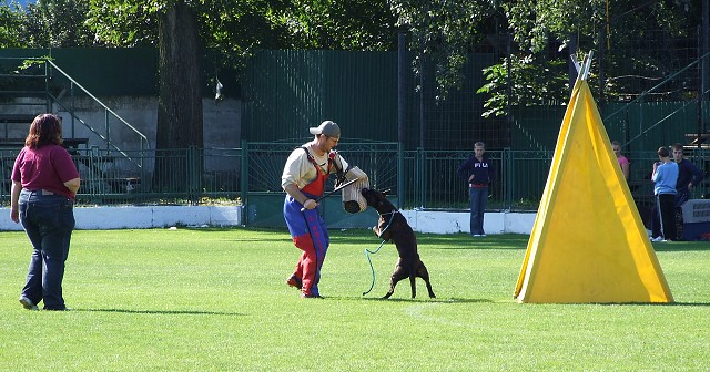 www.boxerklub.sk