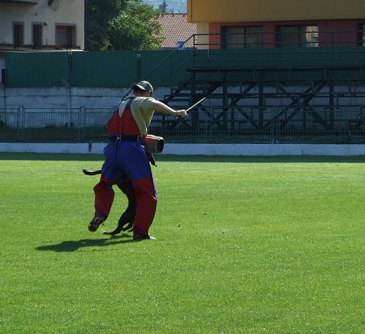 www.boxerklub.sk