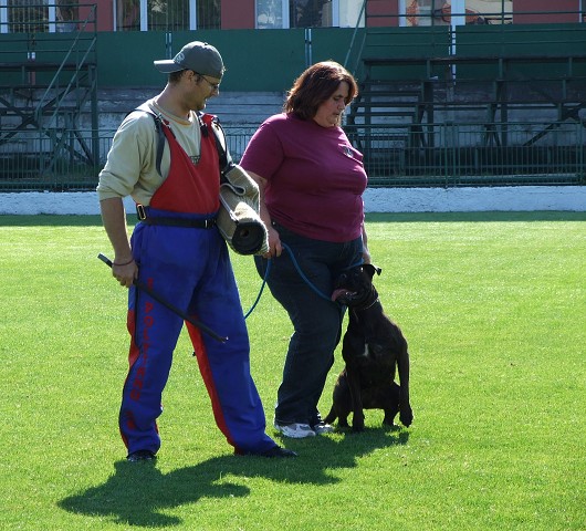 www.boxerklub.sk