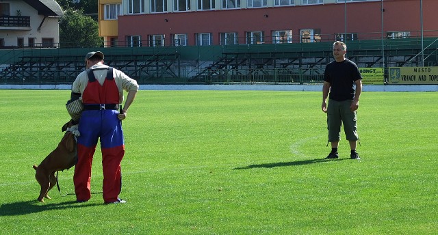 www.boxerklub.sk