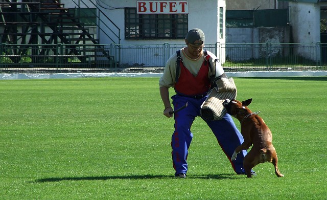 www.boxerklub.sk