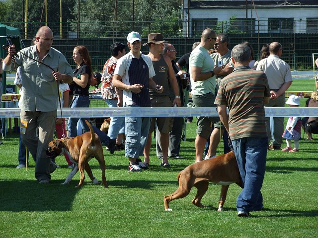 www.boxerklub.sk