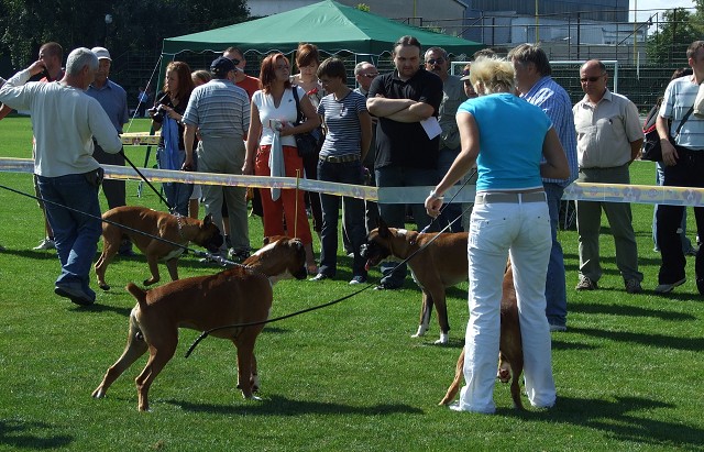 www.boxerklub.sk