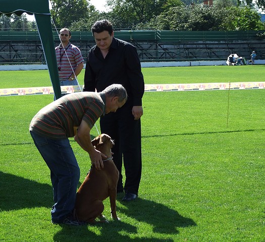 www.boxerklub.sk
