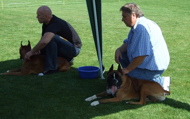 www.boxerklub.sk