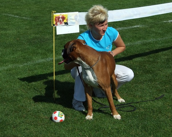 www.boxerklub.sk