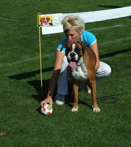 www.boxerklub.sk