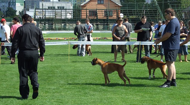 www.boxerklub.sk