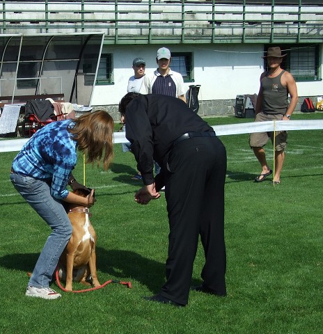 www.boxerklub.sk