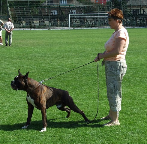 www.boxerklub.sk