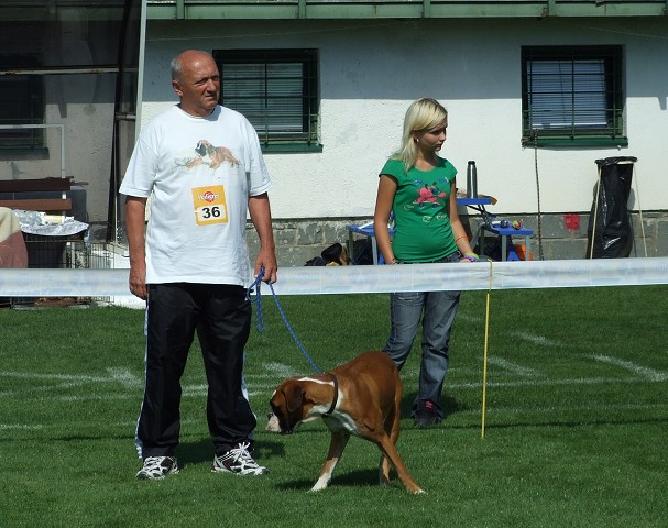 www.boxerklub.sk