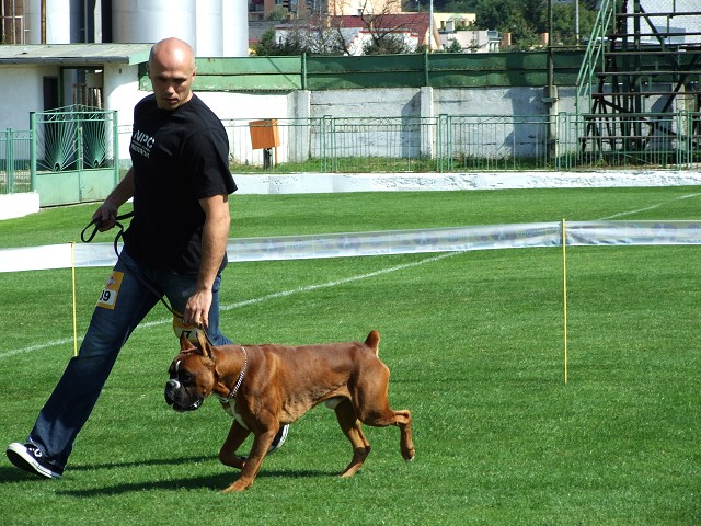 www.boxerklub.sk