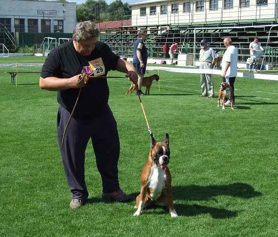 www.boxerklub.sk