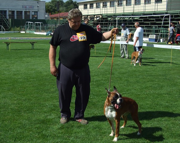 www.boxerklub.sk