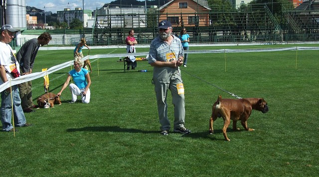 www.boxerklub.sk