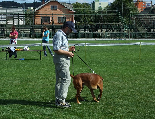 www.boxerklub.sk