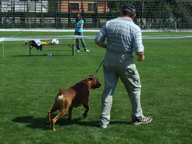 www.boxerklub.sk