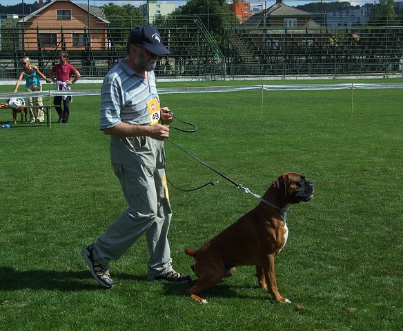www.boxerklub.sk