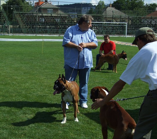 www.boxerklub.sk