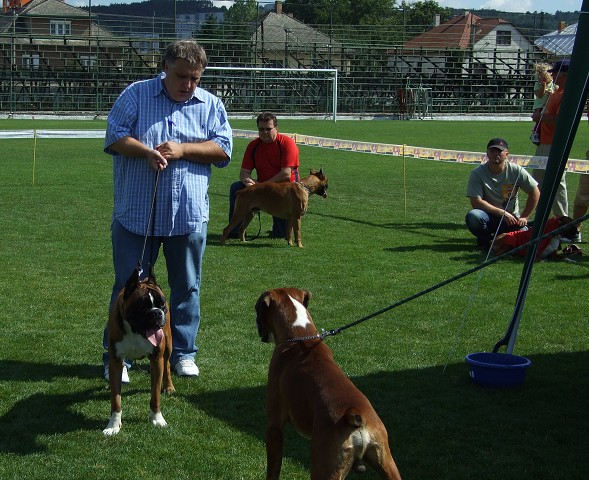 www.boxerklub.sk
