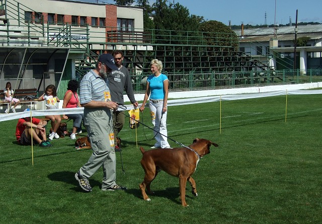 www.boxerklub.sk