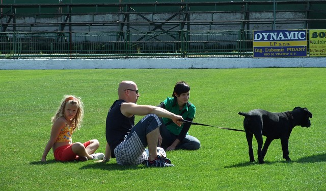 www.boxerklub.sk