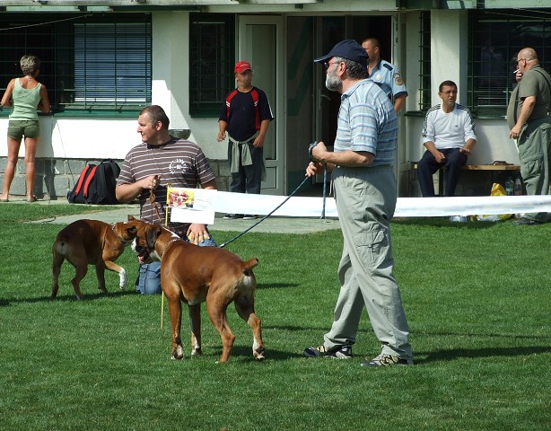 www.boxerklub.sk