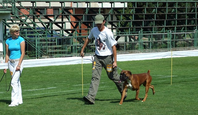 www.boxerklub.sk