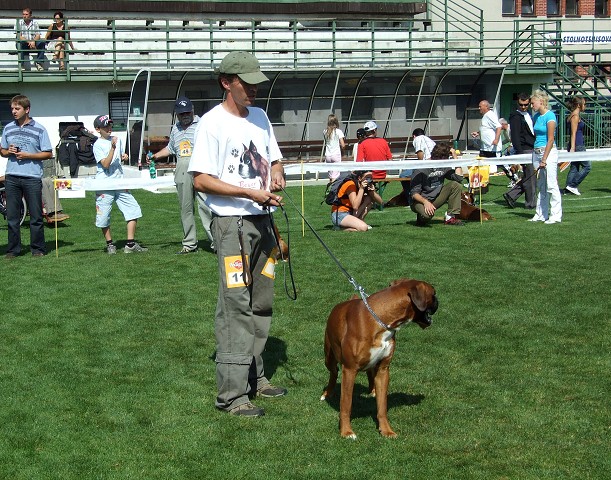 www.boxerklub.sk