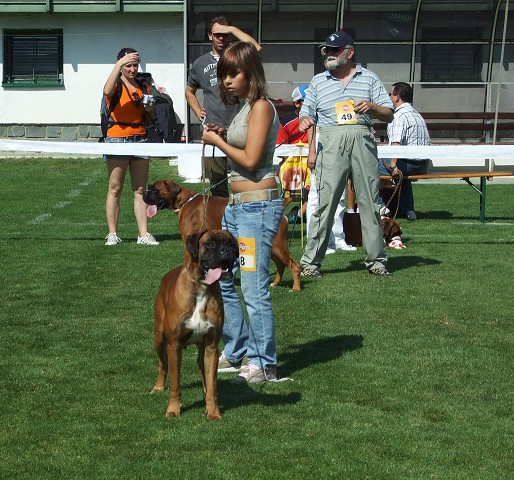 www.boxerklub.sk