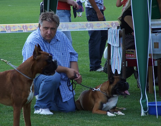 www.boxerklub.sk