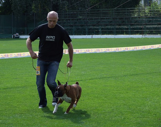 www.boxerklub.sk
