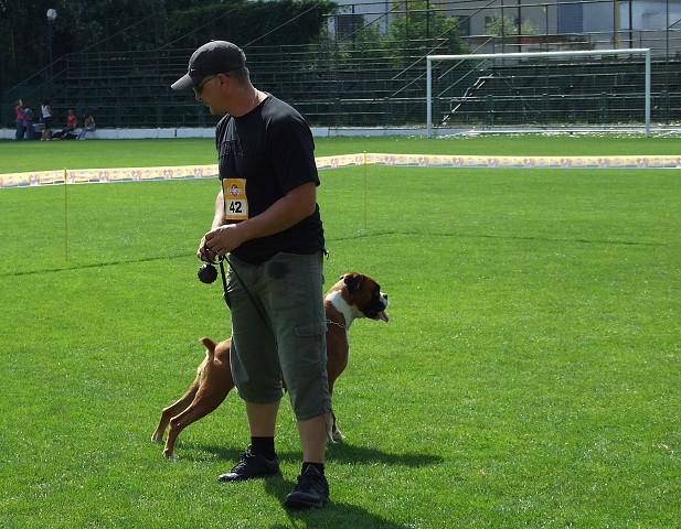 www.boxerklub.sk