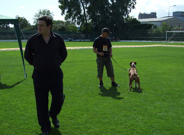 www.boxerklub.sk