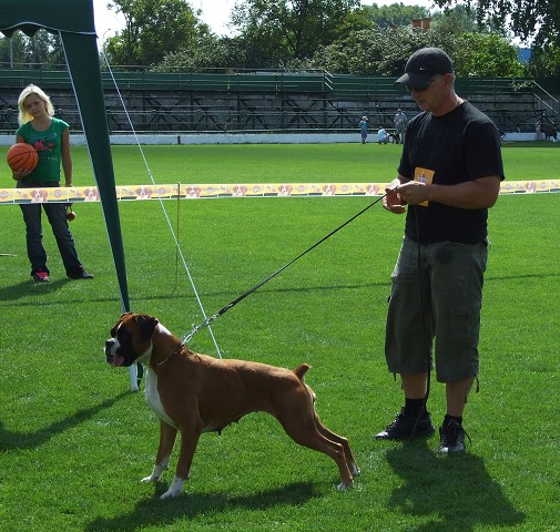 www.boxerklub.sk