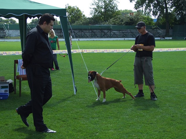 www.boxerklub.sk