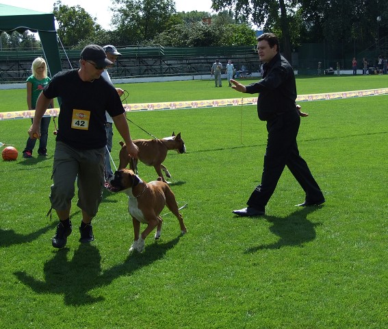 www.boxerklub.sk