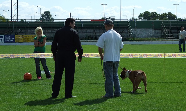 www.boxerklub.sk