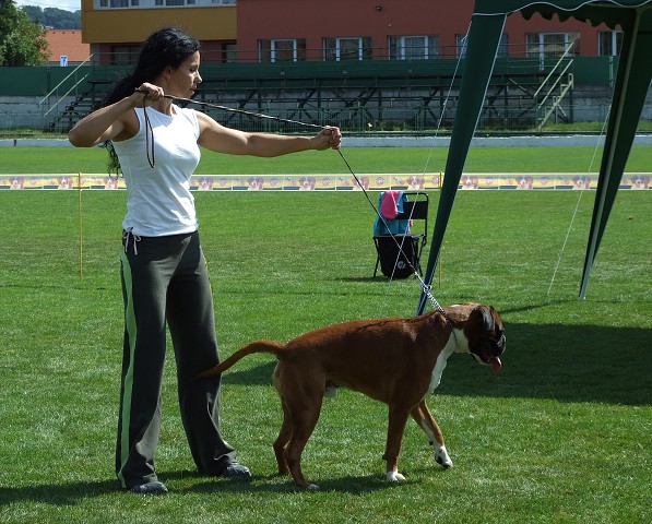 www.boxerklub.sk