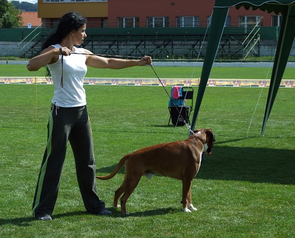 www.boxerklub.sk