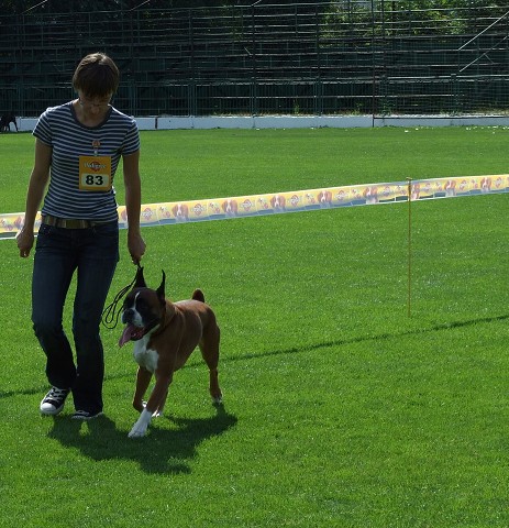 www.boxerklub.sk