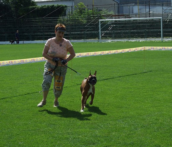 www.boxerklub.sk