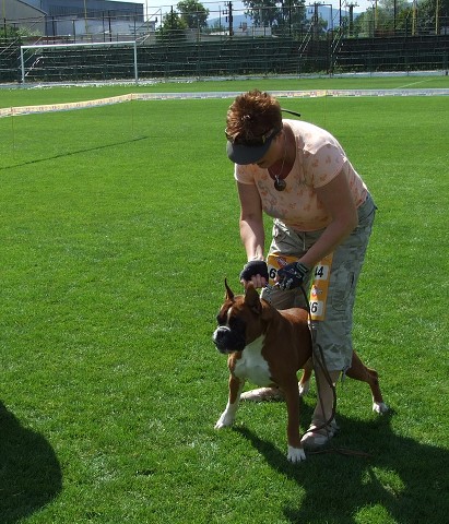 www.boxerklub.sk