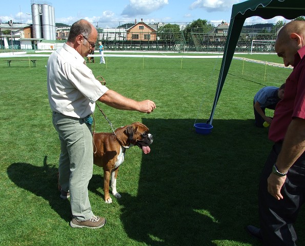 www.boxerklub.sk