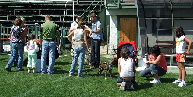 www.boxerklub.sk