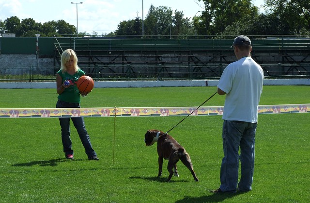 www.boxerklub.sk