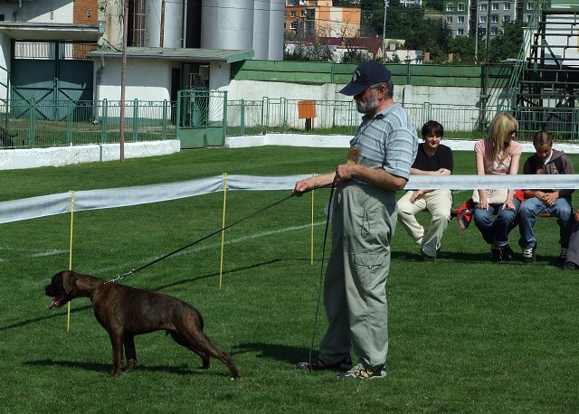 www.boxerklub.sk